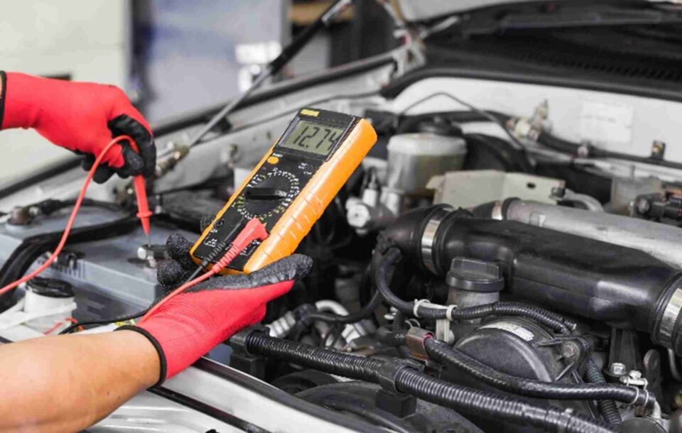 specialized restoration